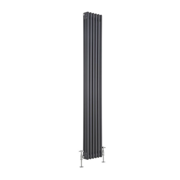 Вертикальний дизайнерський радіатор Claudia 3 1800x290mm antracyte RR-CL03-1800290A фото
