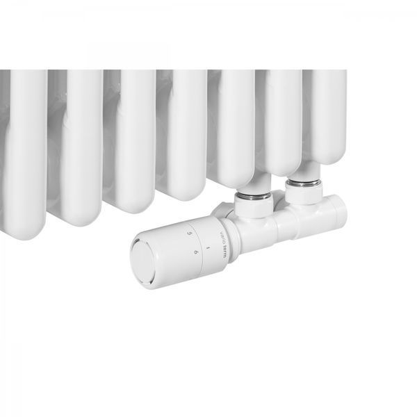 Горизонтальний дизайнерський радіатор Claudia 3 600&times;1370 White RR-CL03-6001370W фото
