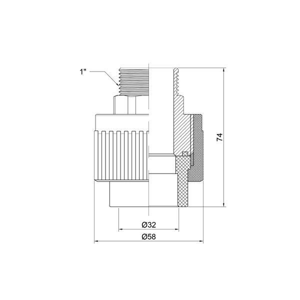 Муфта PPR Thermo Alliance 32х1" ЗР DSB307 фото