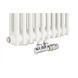 Вертикальний дизайнерський радіатор Claudia 2 2000&times;470 White RR-CL02-2000470W фото 12