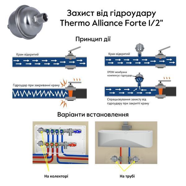 Захист від гідроудару Thermo Alliance Forte 1/2" SFE0022W15 SFE0022W15 фото