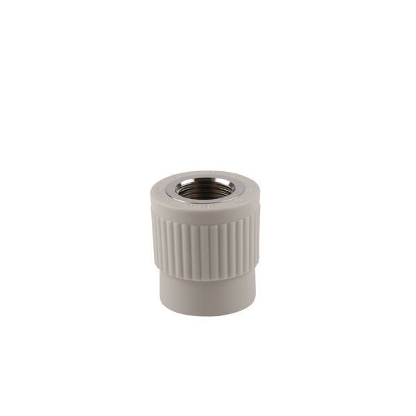 Муфта PPR Thermo Alliance 25х1/2" ВР DSB203 фото
