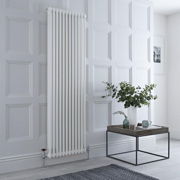 Вертикальний дизайнерський радіатор Claudia 2 2000x560 White RR-CL02-2000560W фото