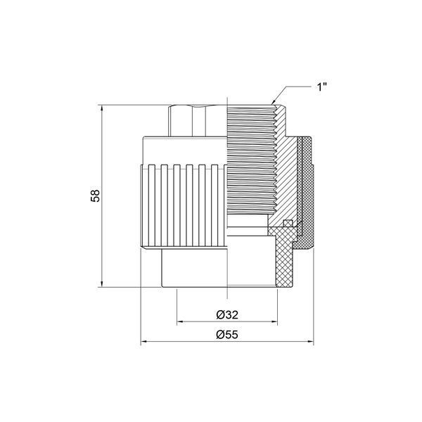 Муфта PPR Thermo Alliance 32х1" ВР DSB207 фото